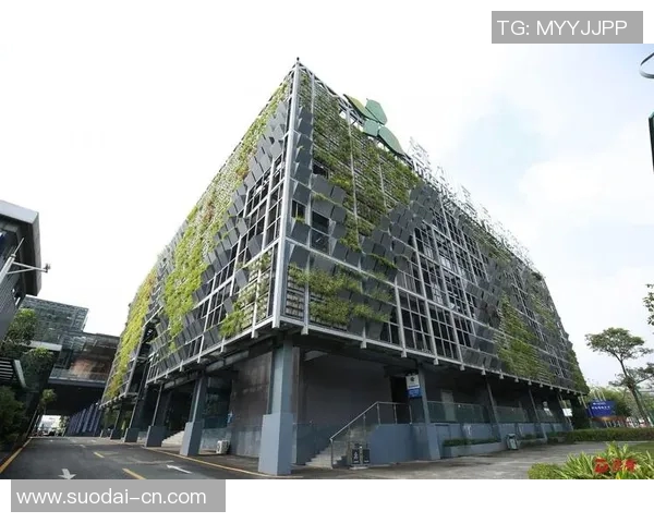 木浦市与大田地铁的对比分析及其对城市发展的影响探讨