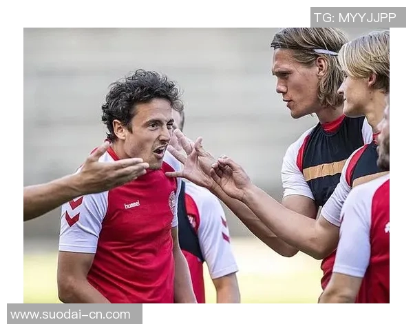 丹麦与澳大利亚比赛分析及心水推荐助你赢得投注策略